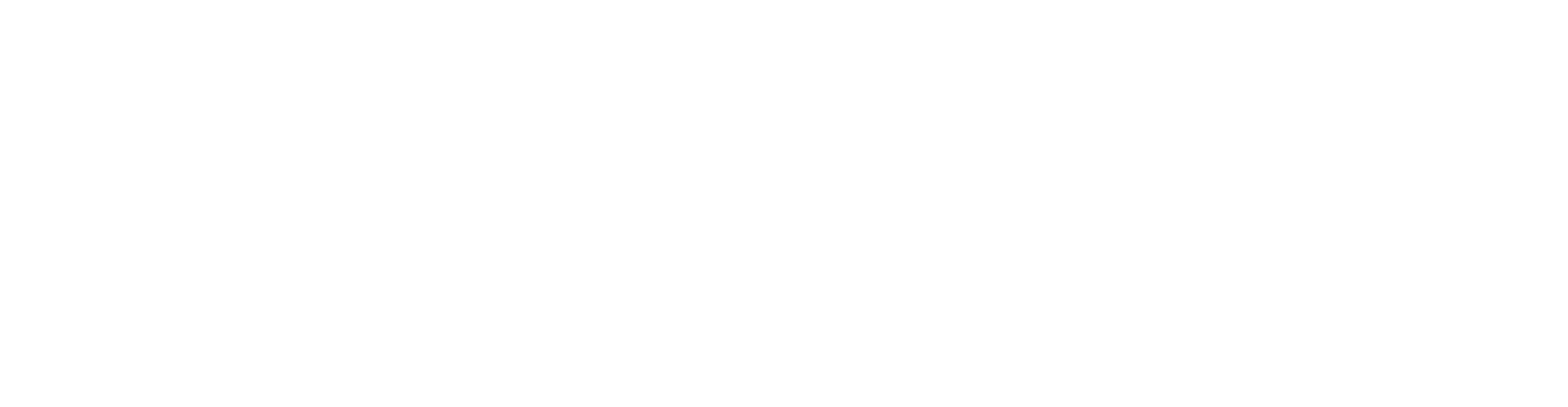 Eamerce logo